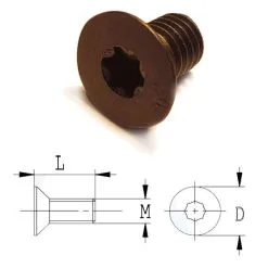 CMT 990.A06.00 Boulon Conique Torx M5x9x8