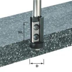 Festool Accessoires Fraise à Affleurer à Plaquettes Réversibles HW S12 D21/30WM 491120