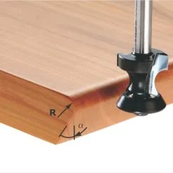 Festool Accessoires Fraise à Moulurer/chanfreiner HW S8 D23,1/R6/30° 491135