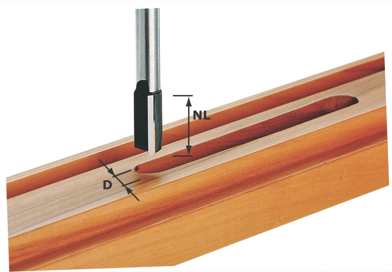 Festool Accessoires Fraise Ă Rainurer HW S12 D14/50 491089